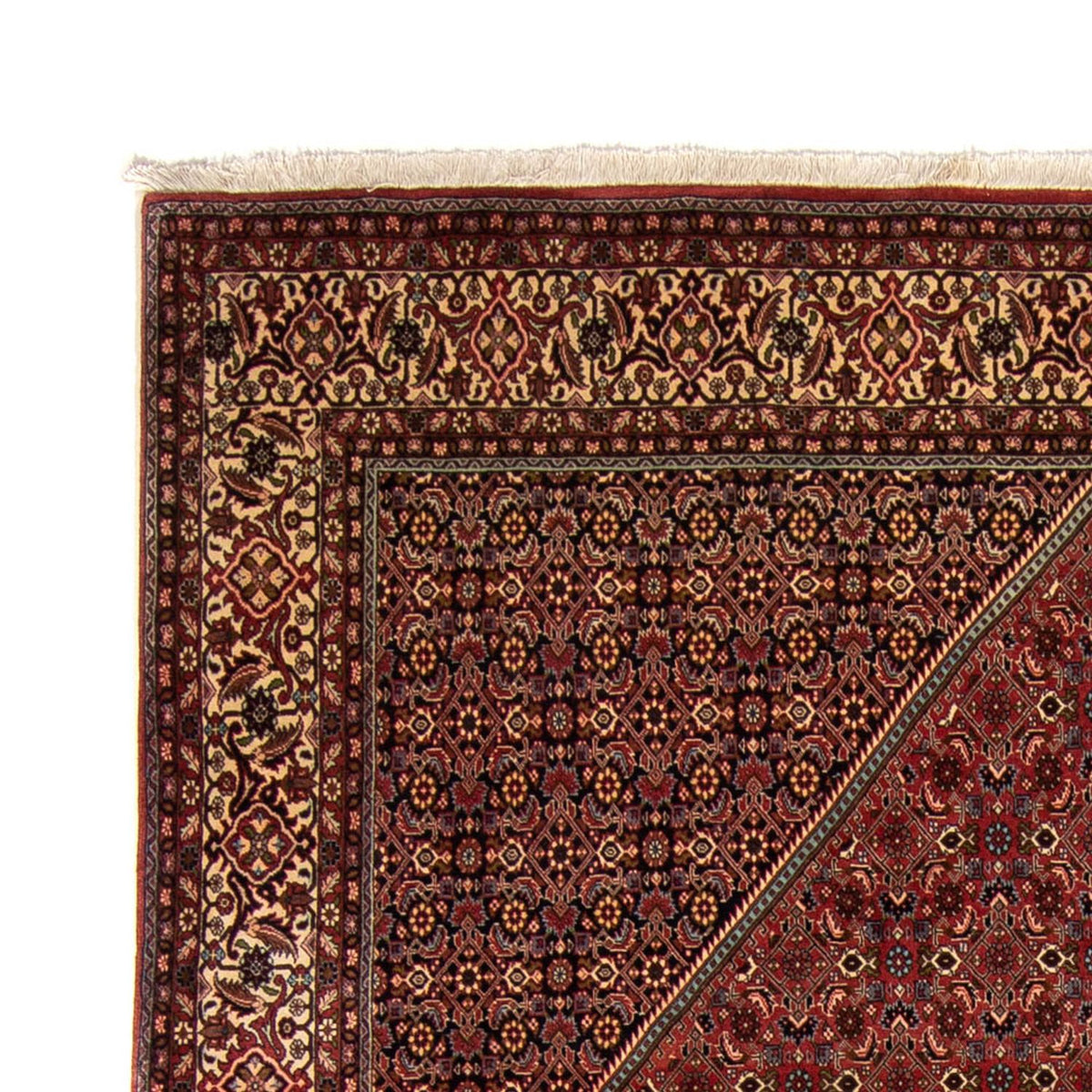 Bidjar Dywan 255x329cm - Dywan perski