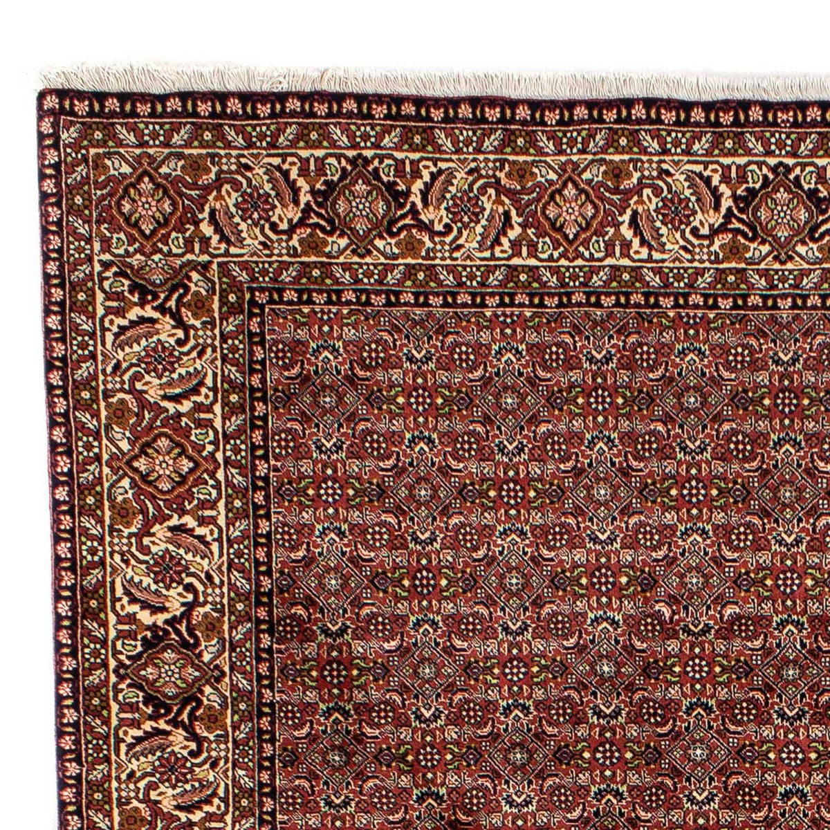 Dywan perski - Bijar - 298 x 202 cm - brązowy