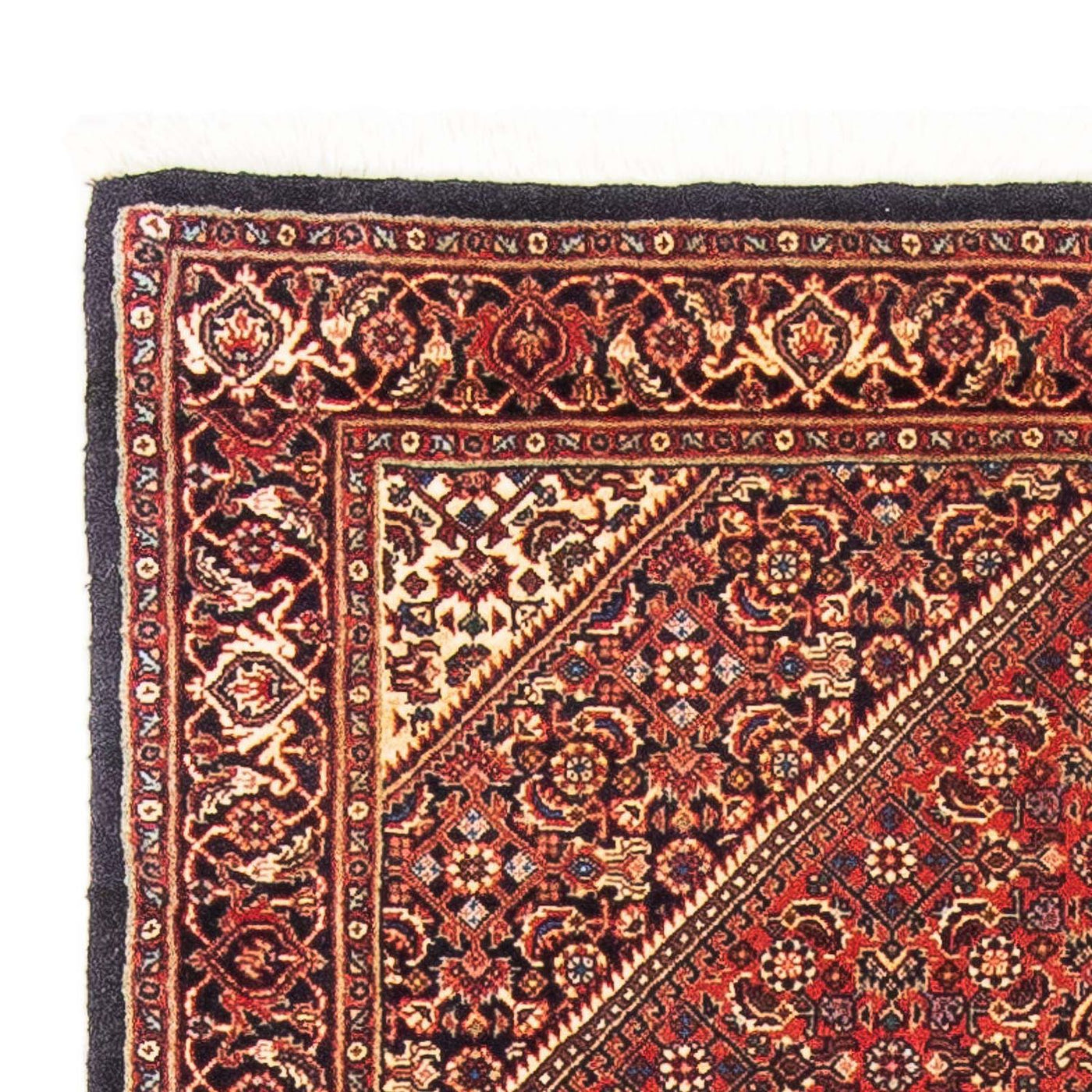Bidjar Dywan 153x92cm - Dywan perski