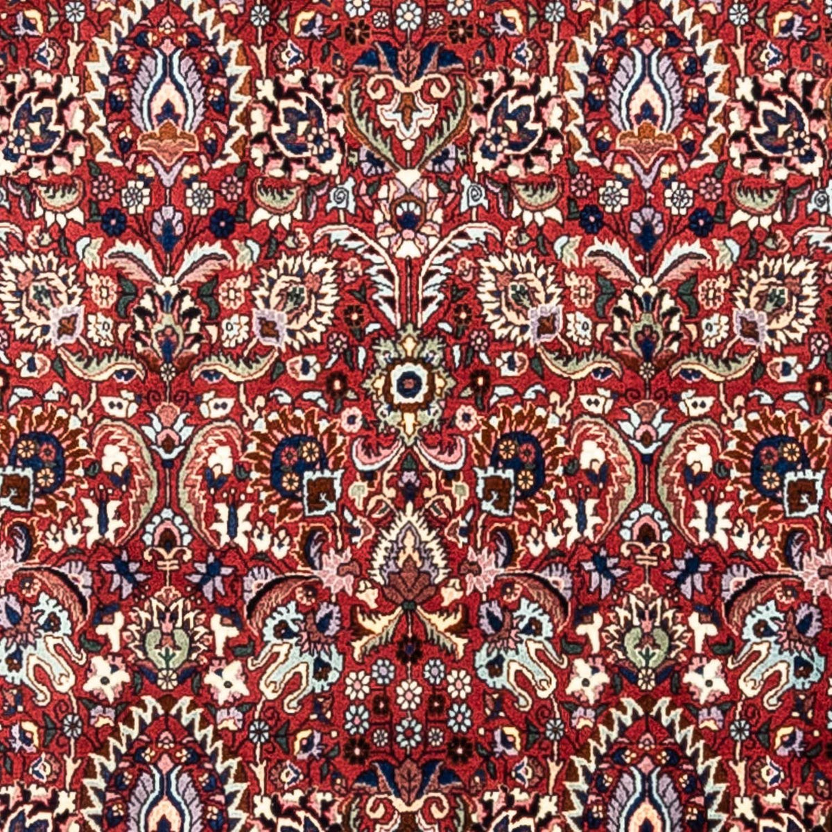 Perski dywan - Bijar - Royal - 343 x 255 cm - czerwony