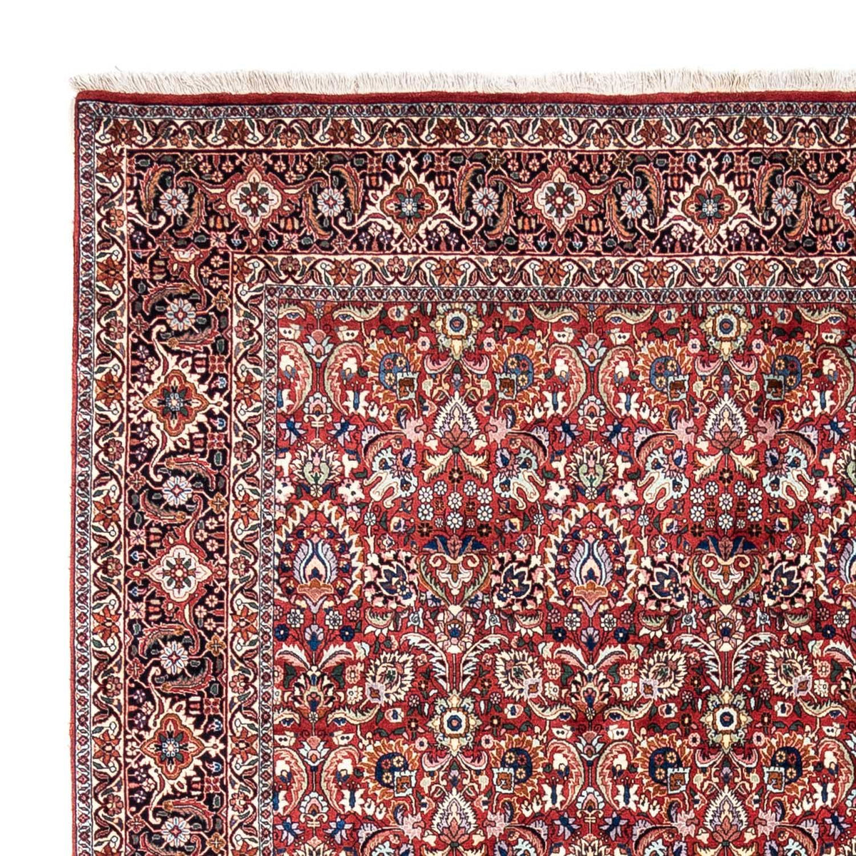 Perski dywan - Bijar - Royal - 343 x 255 cm - czerwony