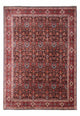 Bidjar - Takab Dywan 342x256cm - Dywan perski
