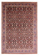 Bidjar Dywan 256x351cm - Dywan perski