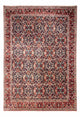 Bidjar - Takab Dywan 357x253cm - Dywan perski