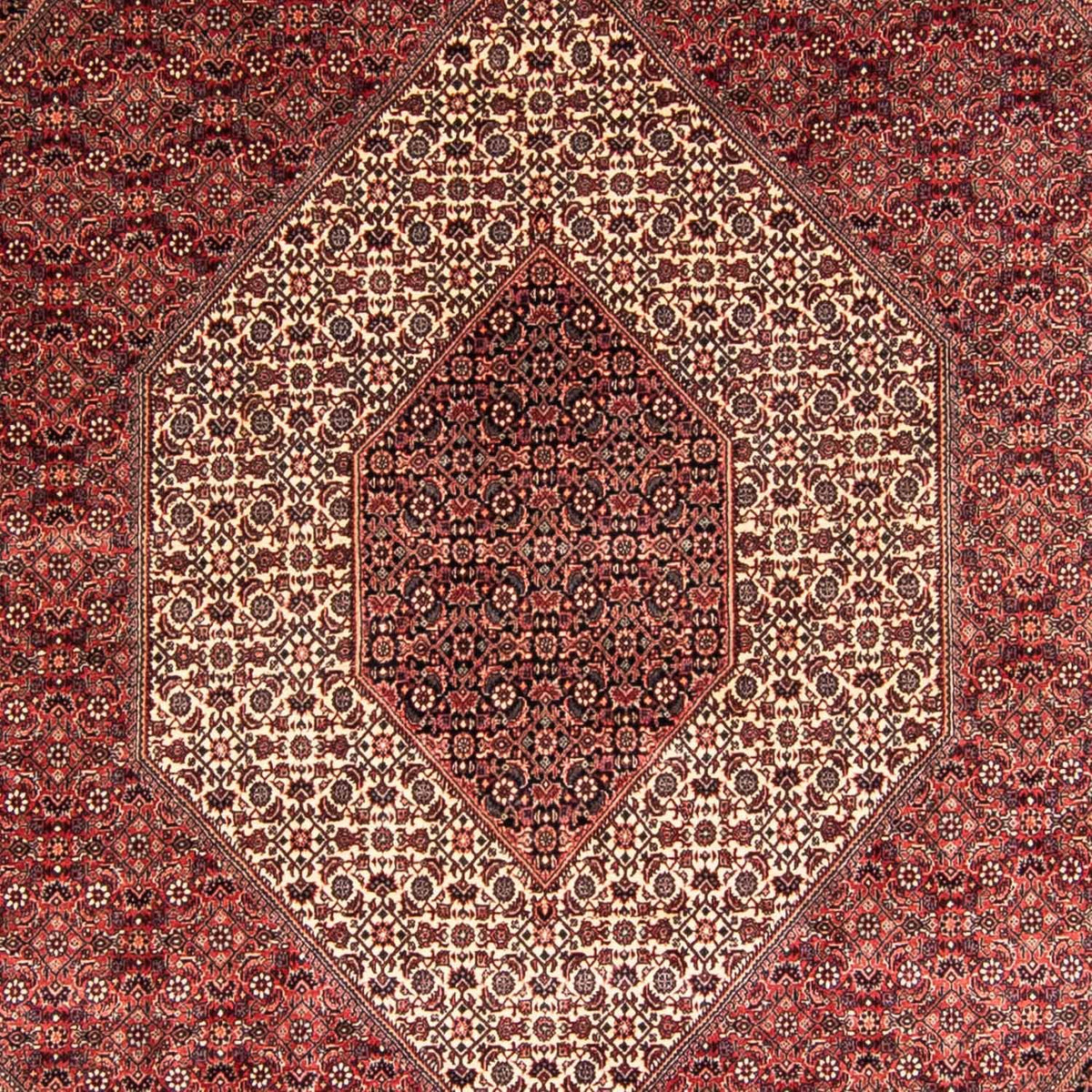 Dywan perski - Bijar - 340 x 252 cm - jasna czerwień