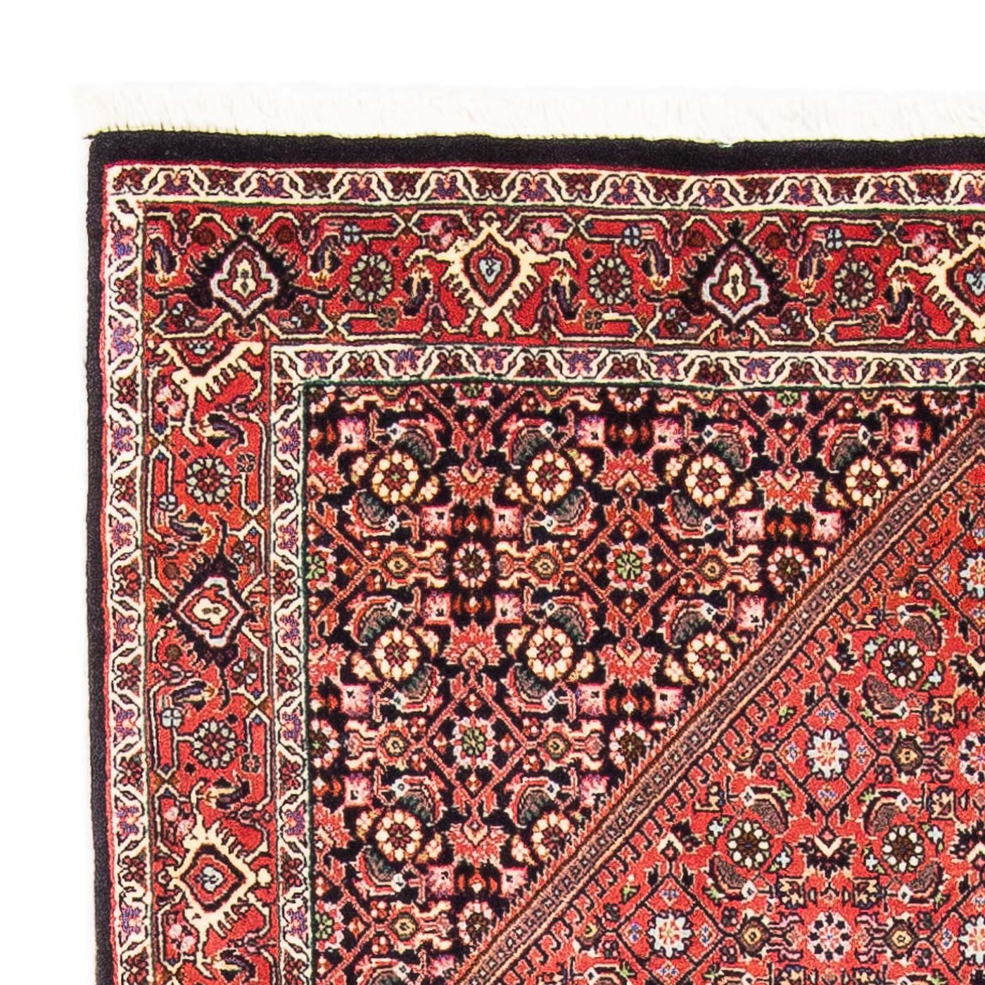 Bidjar Dywan 179x108cm - Dywan perski
