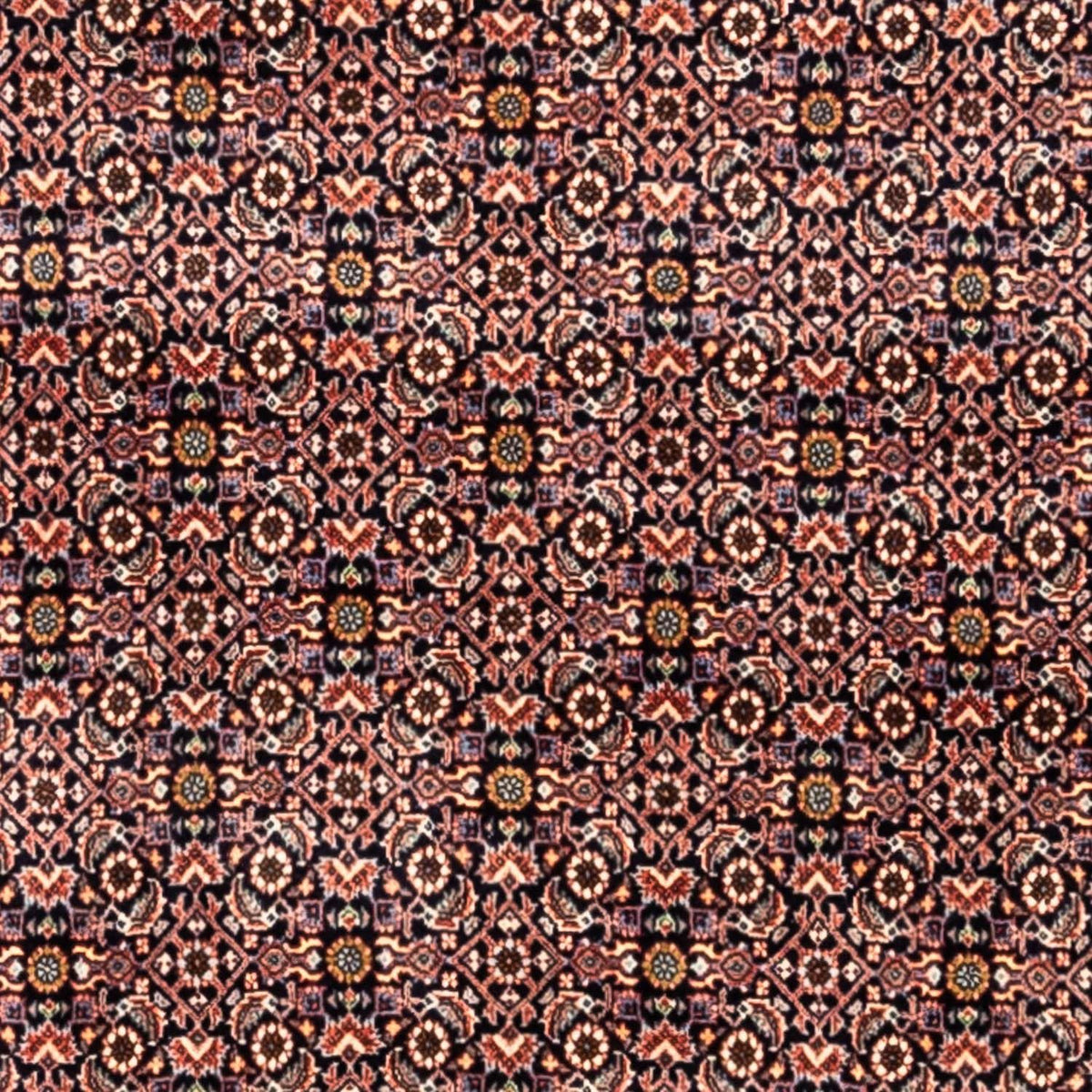 Perski dywan - Bijar - Royal - 341 x 259 cm - rdza