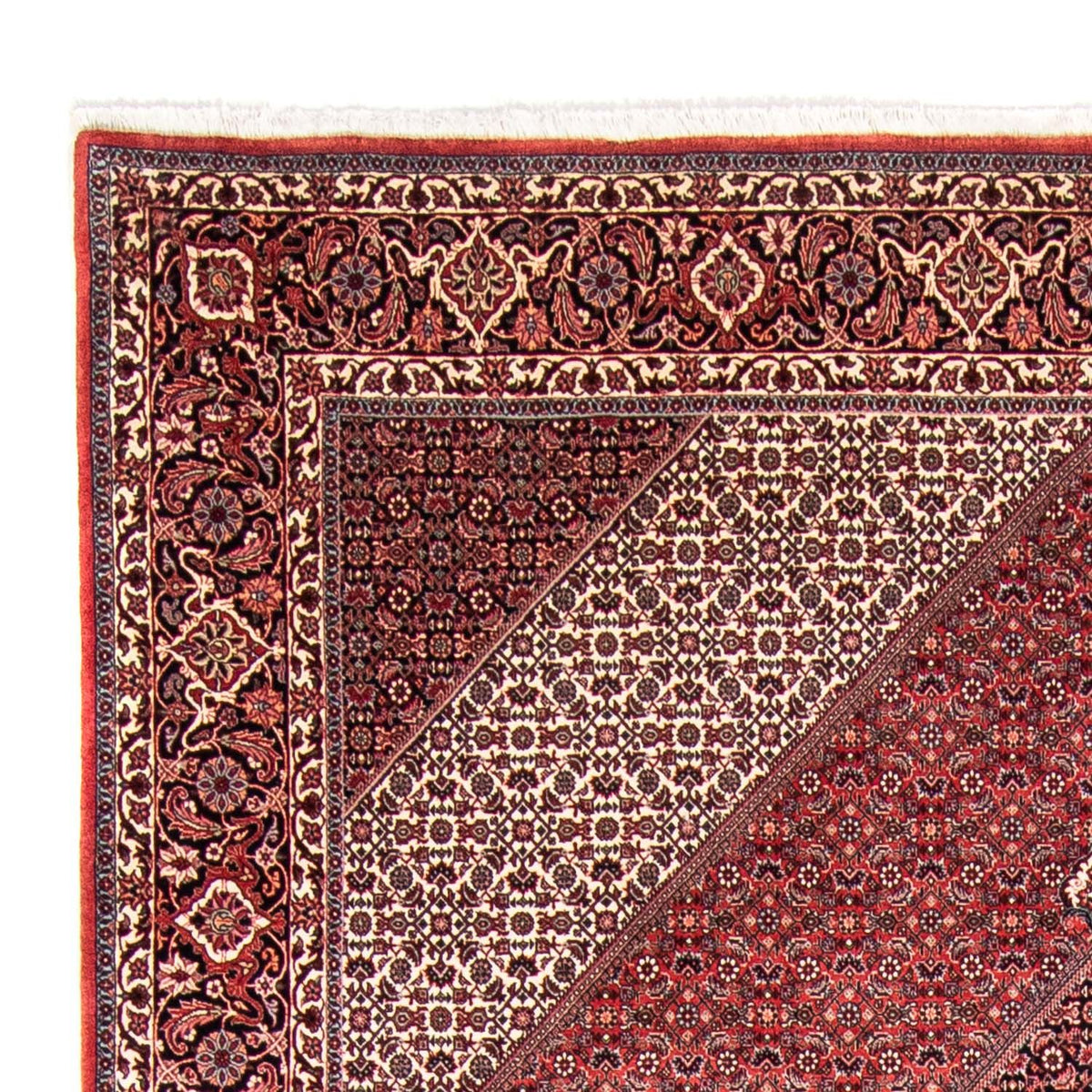 Bidjar Dywan 248x355cm - Dywan perski