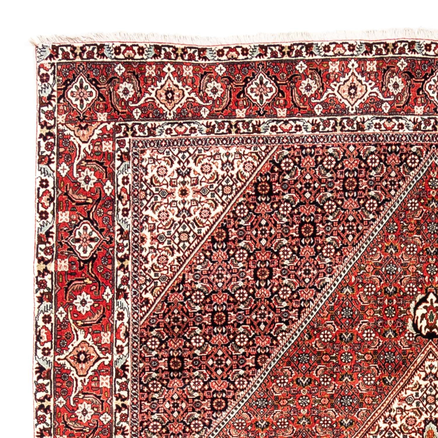 Bidjar - Takab Dywan 285x195cm - Dywan perski