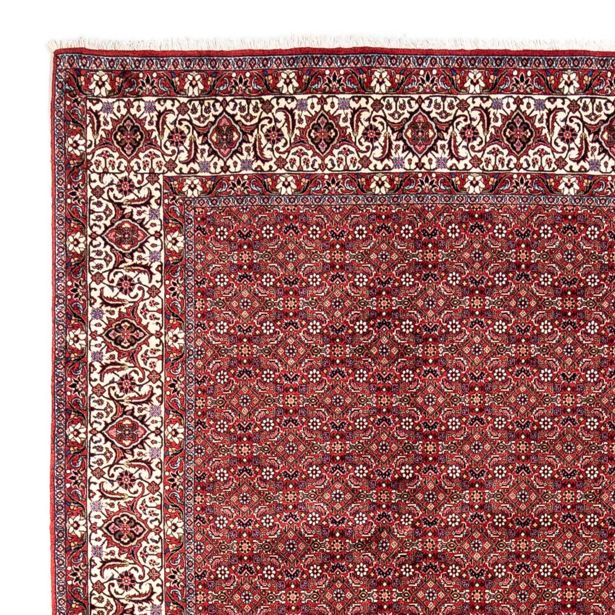 Perski dywan - Bijar - Royal - 340 x 252 cm - czerwony