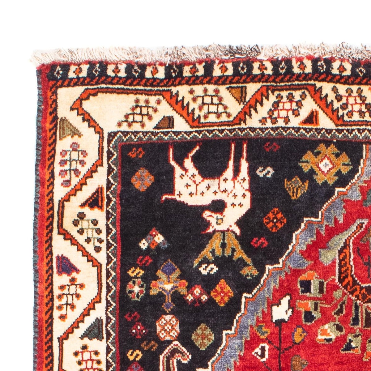 Qashqai Dywan 114x166cm - Dywan perski
