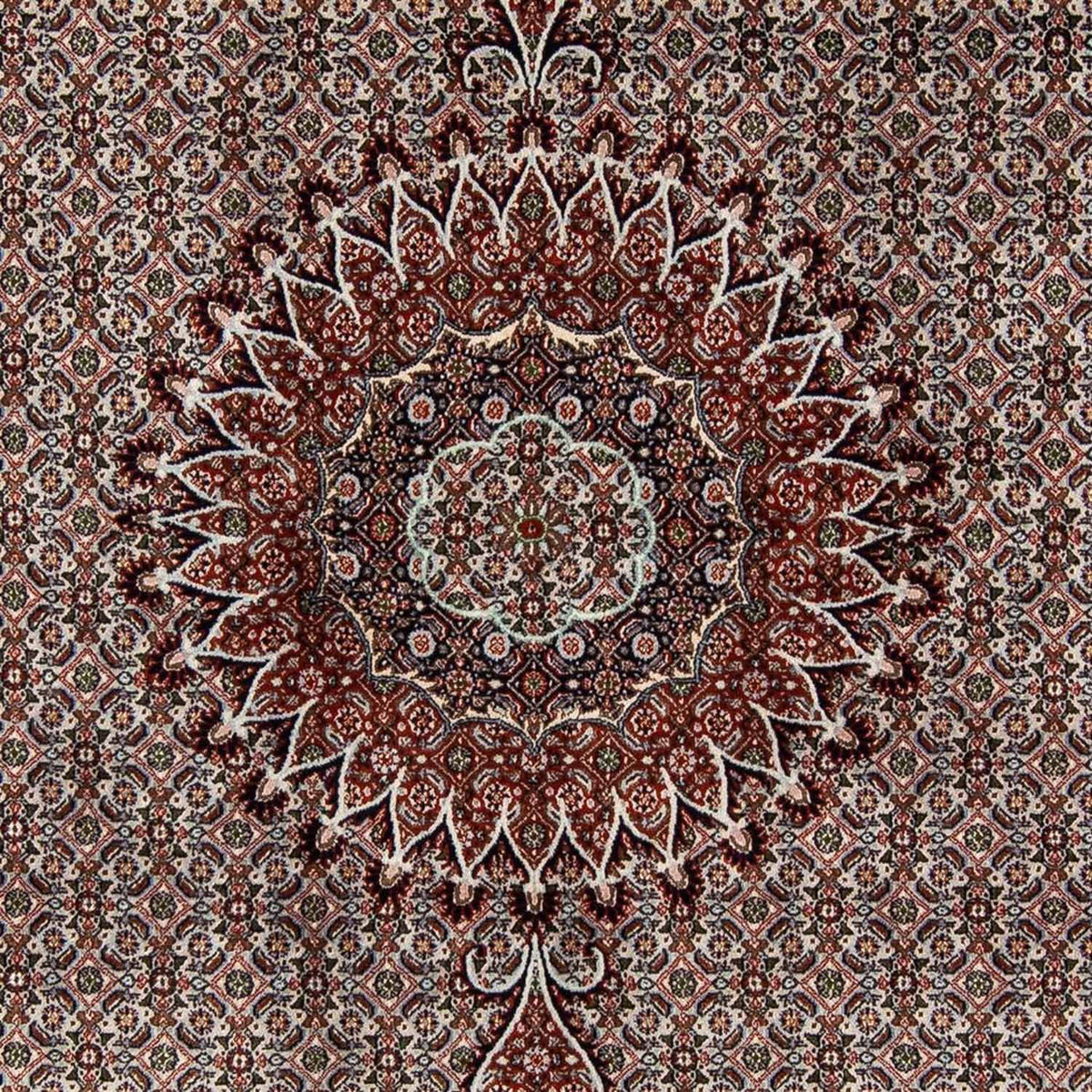 Dywan perski - Klasyczny - 284 x 201 cm - beżowy