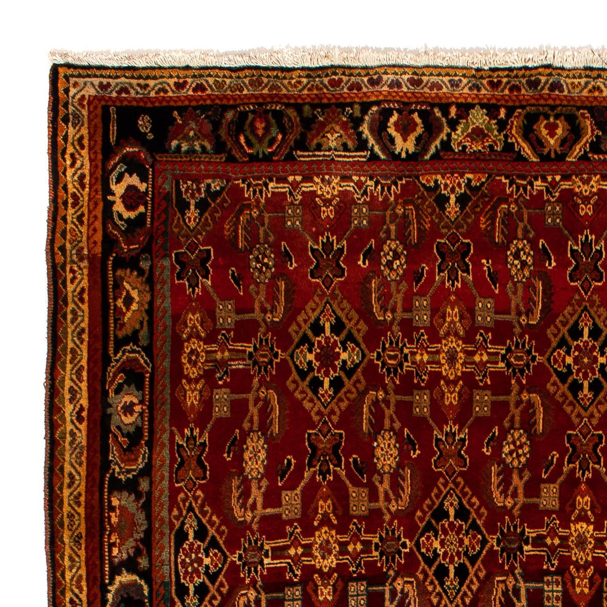 Perski dywan - Nomadyczny - 308 x 212 cm - ciemna czerwień