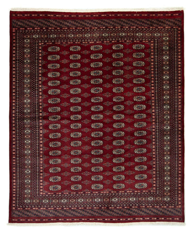 Bukhara Dywan 201x247cm - Dywan orientalny