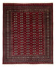 Bukhara Dywan 247x201cm - Dywan orientalny