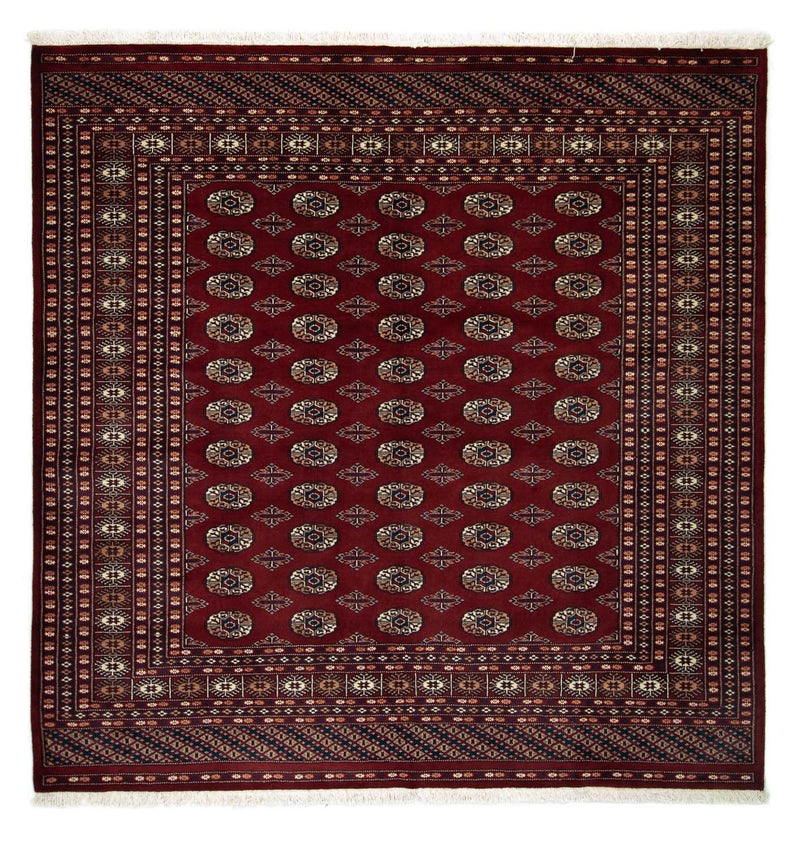 Afgański dywan - Bukhara kwadratowy  - 207 x 204 cm - czerwony