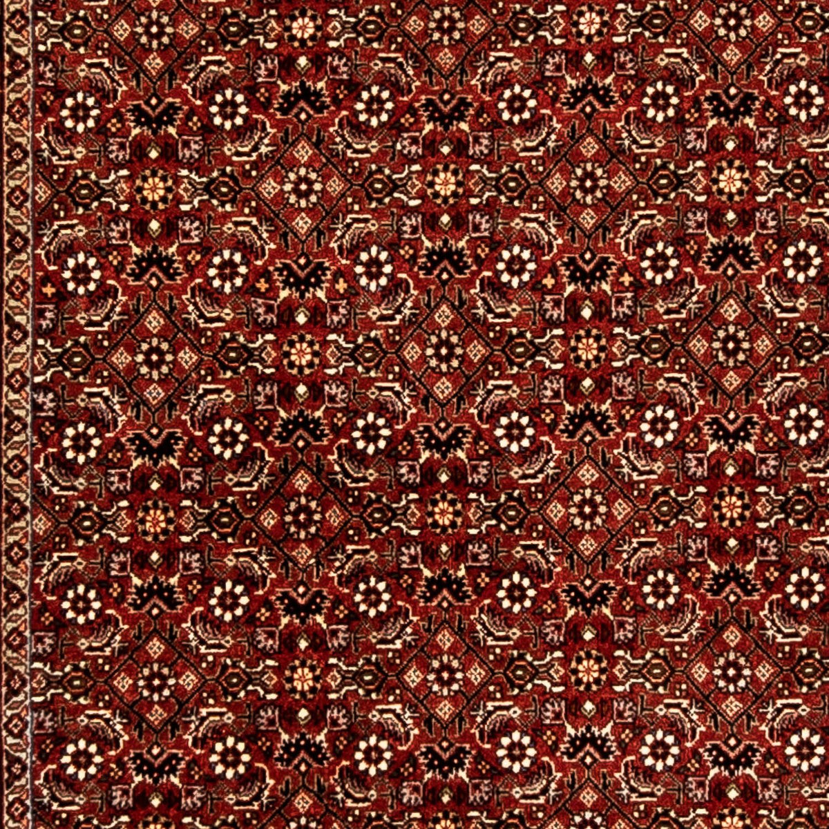 Biegacz Dywan perski - Bijar - 298 x 83 cm - wielokolorowy