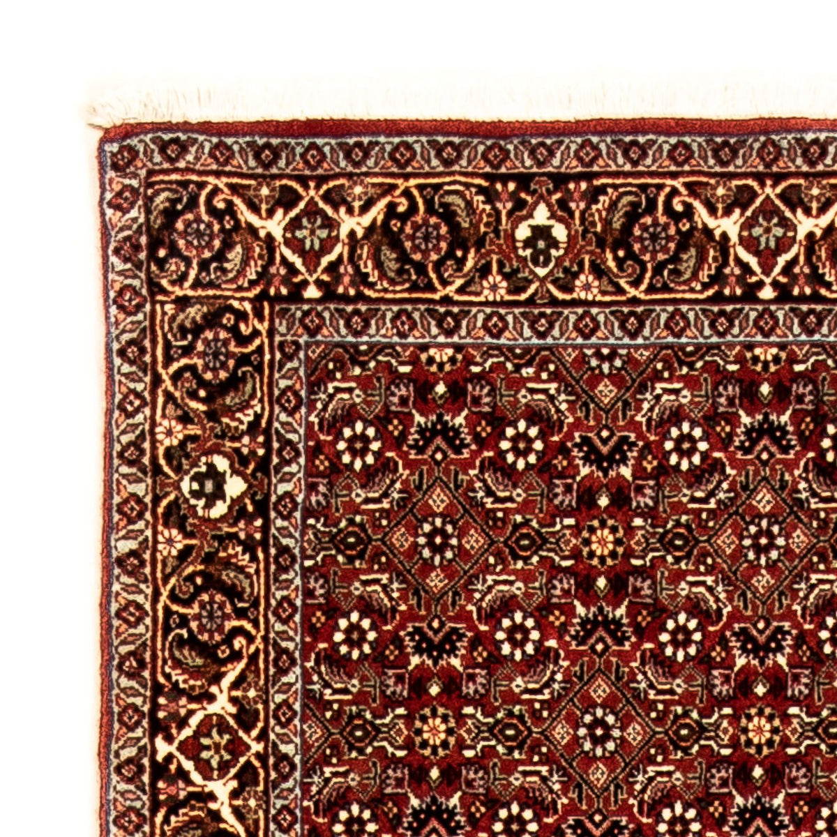 Biegacz Dywan perski - Bijar - 298 x 83 cm - wielokolorowy