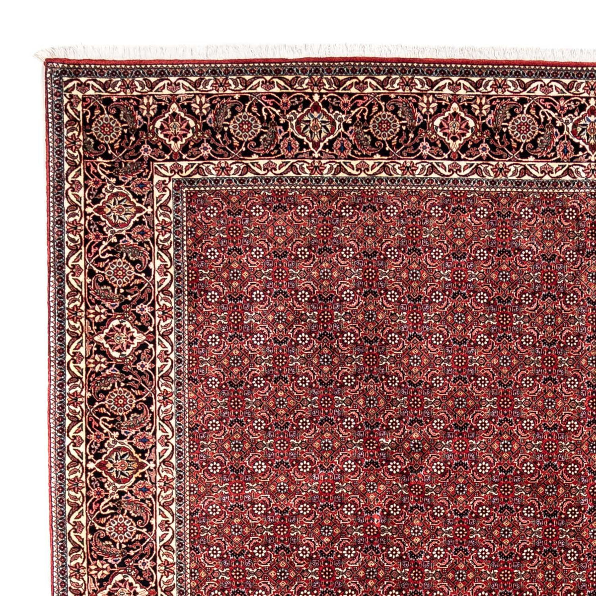 Perski dywan - Bijar - Royal - 350 x 252 cm - czerwony