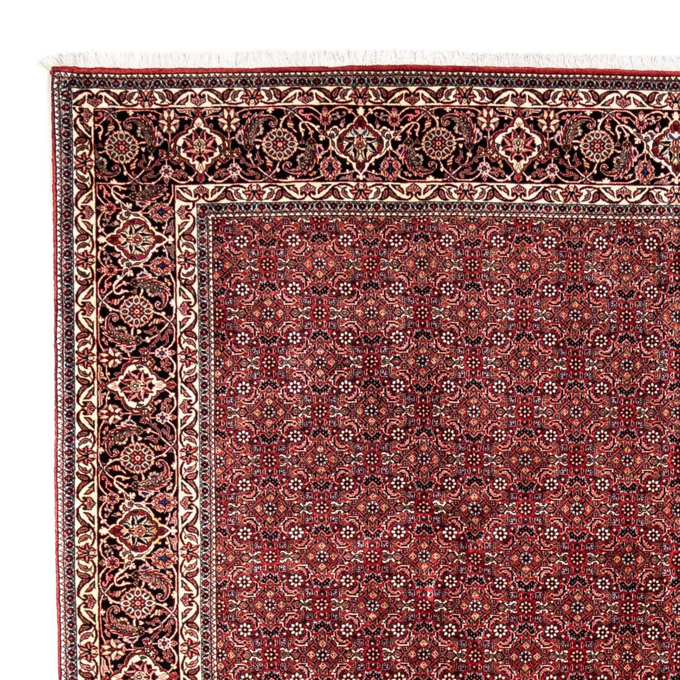 Bidjar - Takab Dywan 350x252cm - Dywan perski