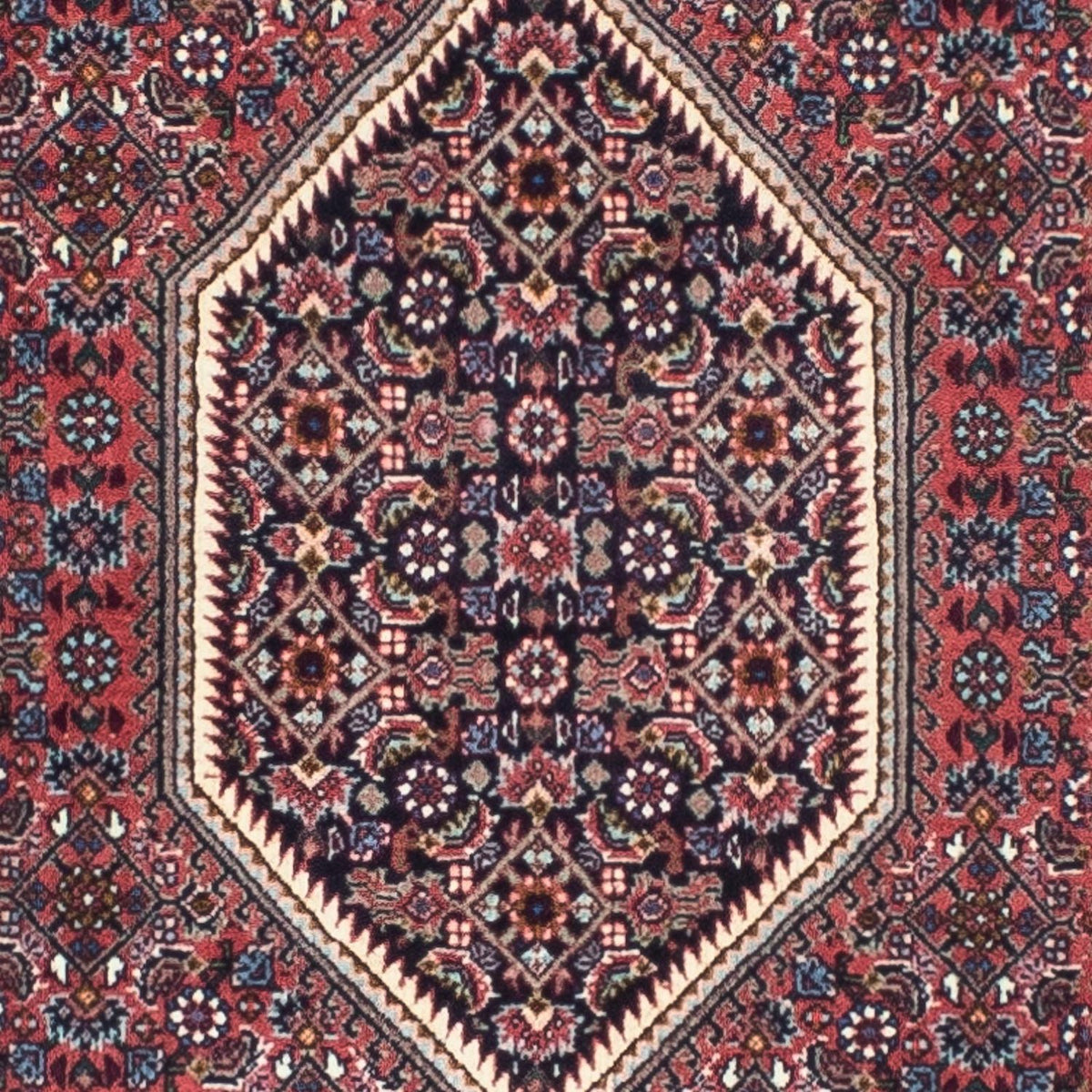 Biegacz Dywan perski - Bijar - 245 x 74 cm - jasna czerwień