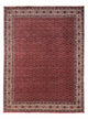 Bidjar - Takab Dywan 338x252cm - Dywan perski