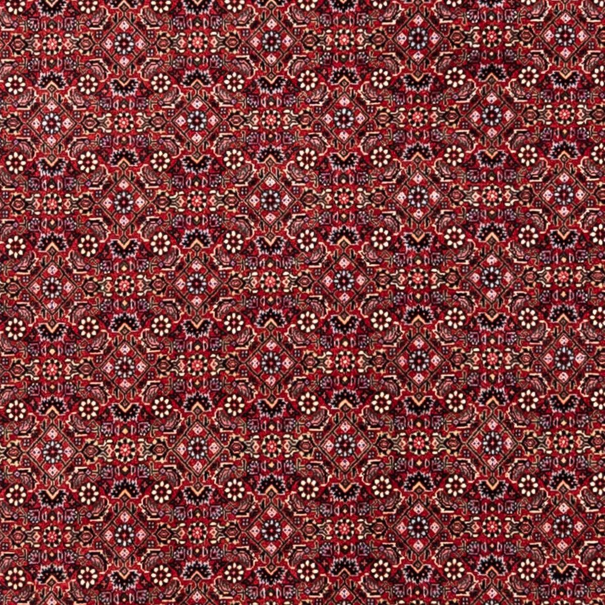 Perski dywan - Bijar - Royal - 338 x 252 cm - czerwony
