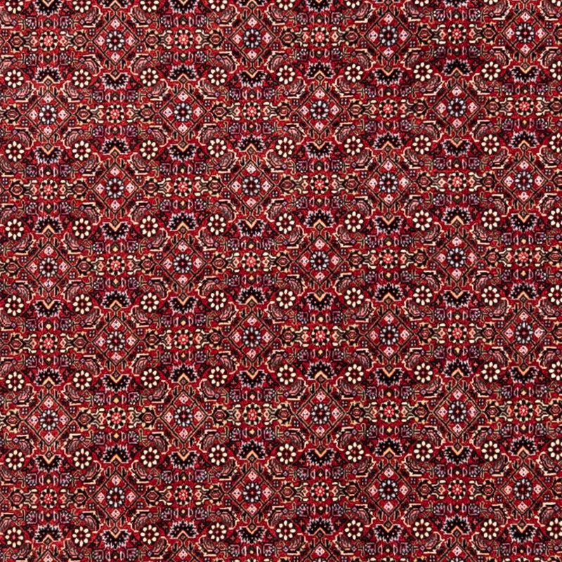 Perski dywan - Bijar - Royal - 338 x 252 cm - czerwony