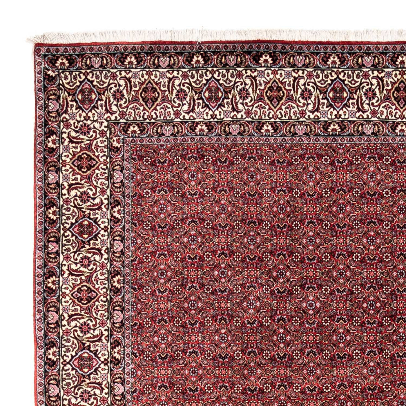 Bidjar - Takab Dywan 338x252cm - Dywan perski