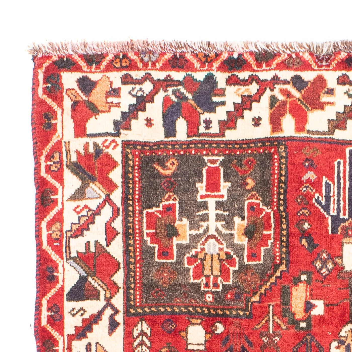 Shiraz Dywan 160x110cm - Dywan perski