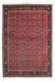 Bidjar - Zanjan Dywan 206x140cm - Dywan perski