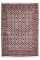 Bidjar - Zanjan Dywan 207x128cm - Dywan perski