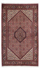 Bidjar - Zanjan Dywan 140x235cm - Dywan perski