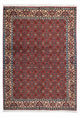 Bidjar - Zanjan Dywan 193x137cm - Dywan perski