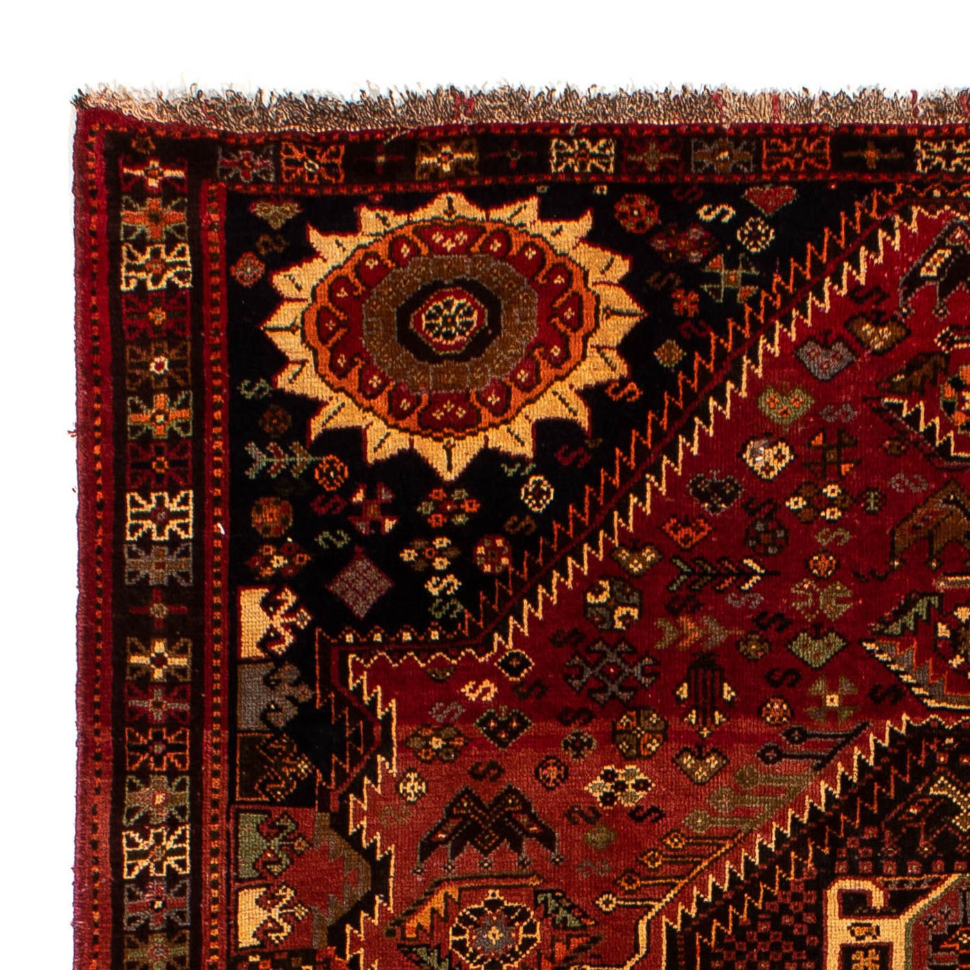 Shiraz Dywan 285x185cm - Dywan perski