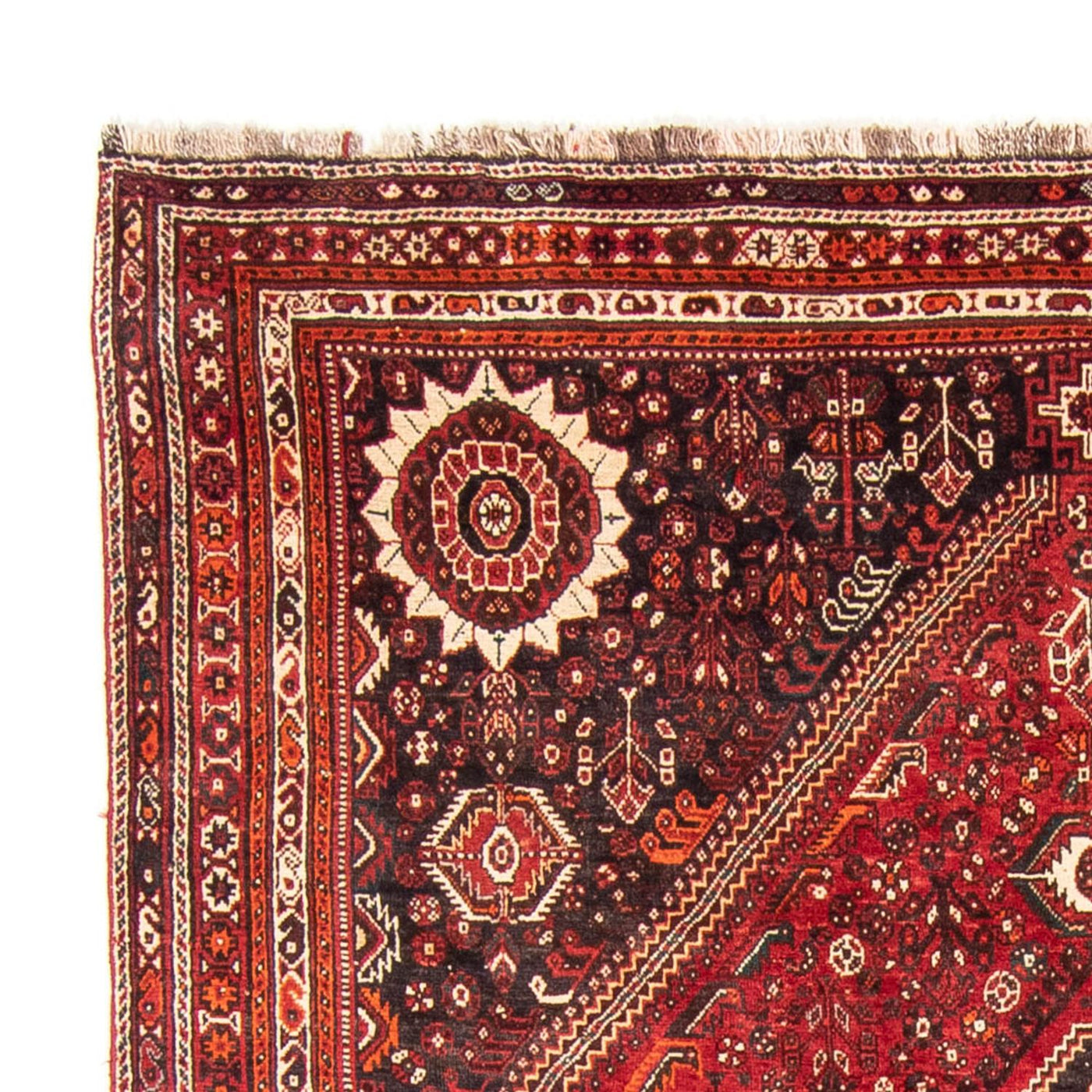 Qashqai Dywan 328x215cm - Dywan perski