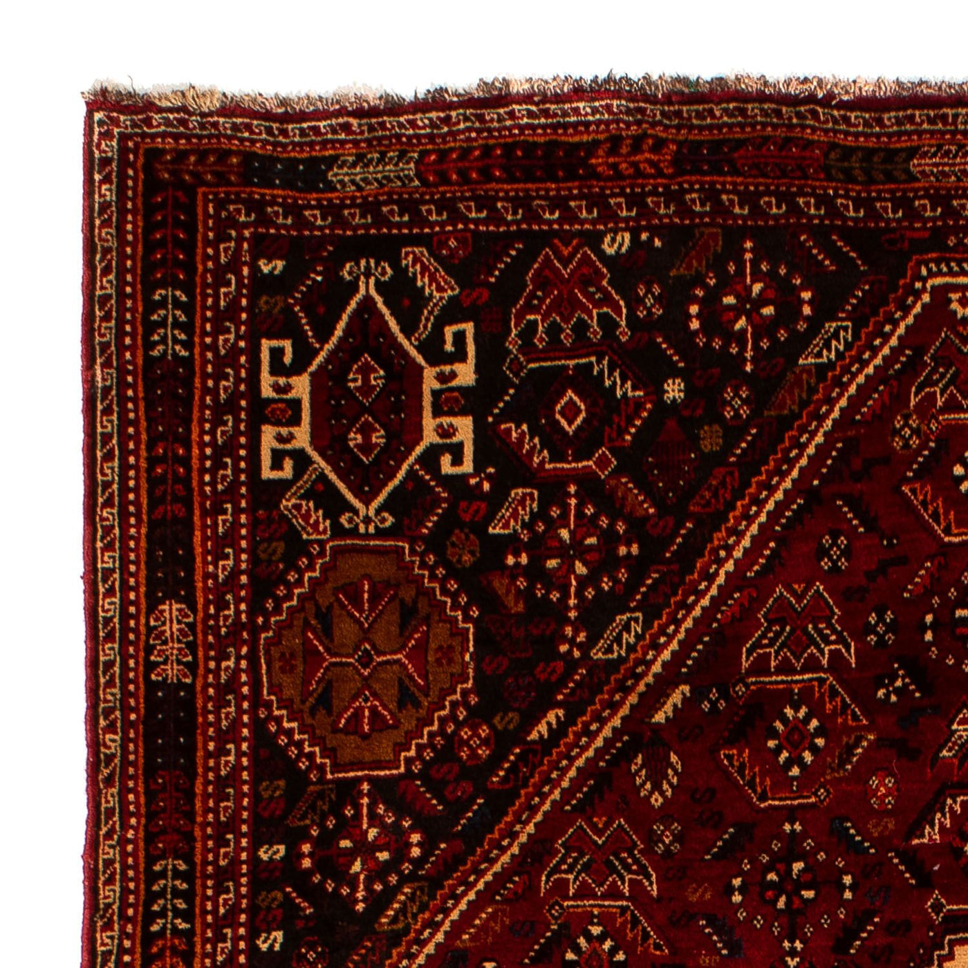 Qashqai Dywan 275x182cm - Dywan perski