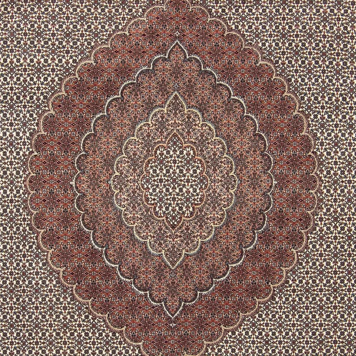 Dywan perski - Tabriz - 300 x 250 cm - wielokolorowy