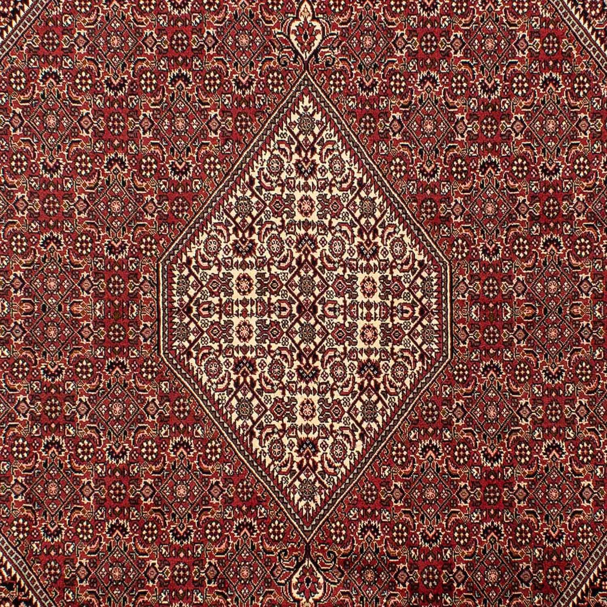 Dywan perski - Bijar - 304 x 200 cm - brązowy