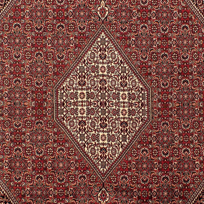 Dywan perski - Bijar - 304 x 200 cm - brązowy