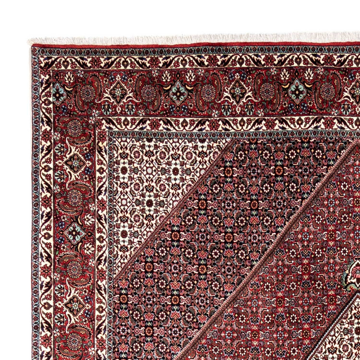 Bidjar - Takab Dywan 338x249cm - Dywan perski