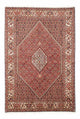 Bidjar Dywan 258x174cm - Dywan perski