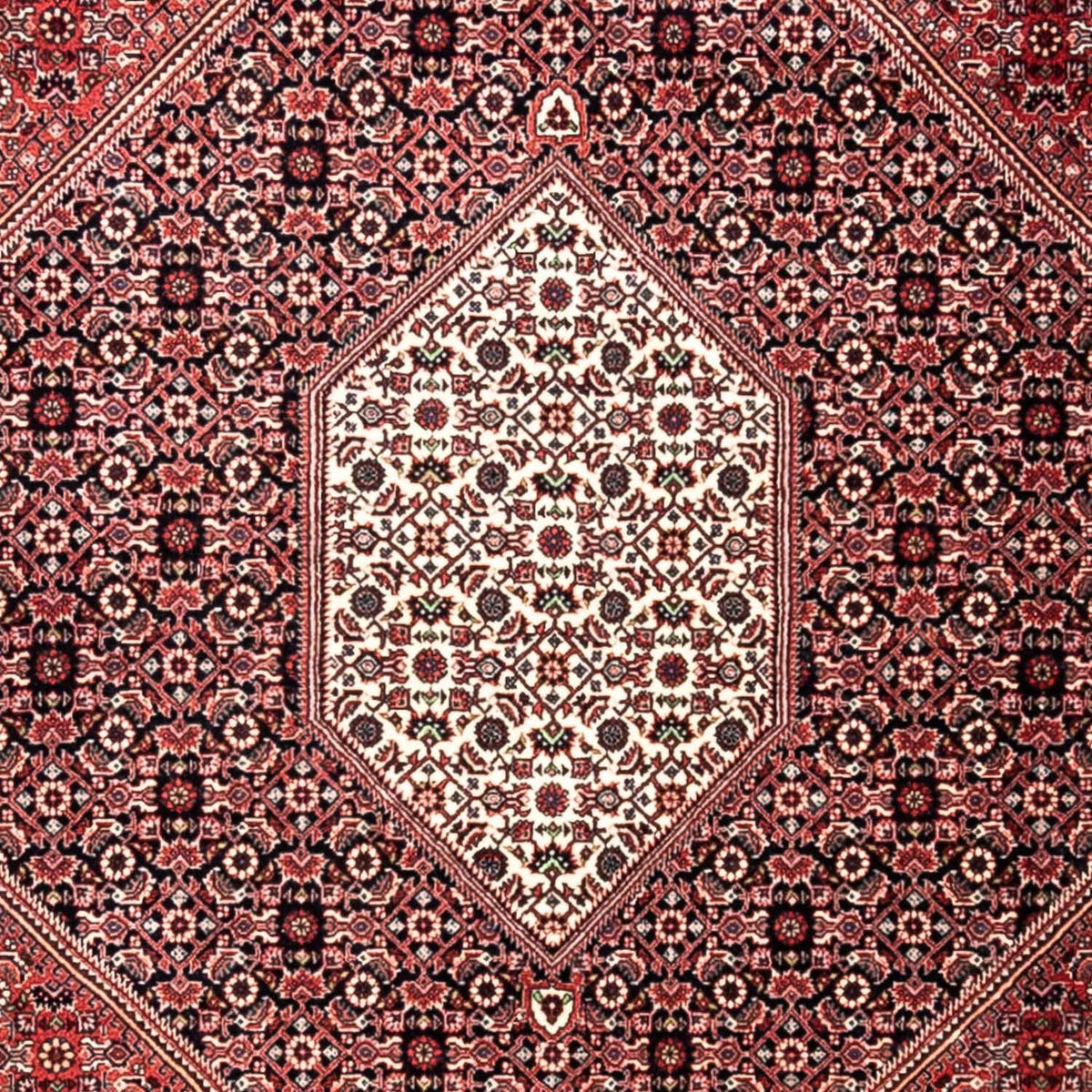 Perski dywan - Bijar - Royal - 346 x 252 cm - czerwony