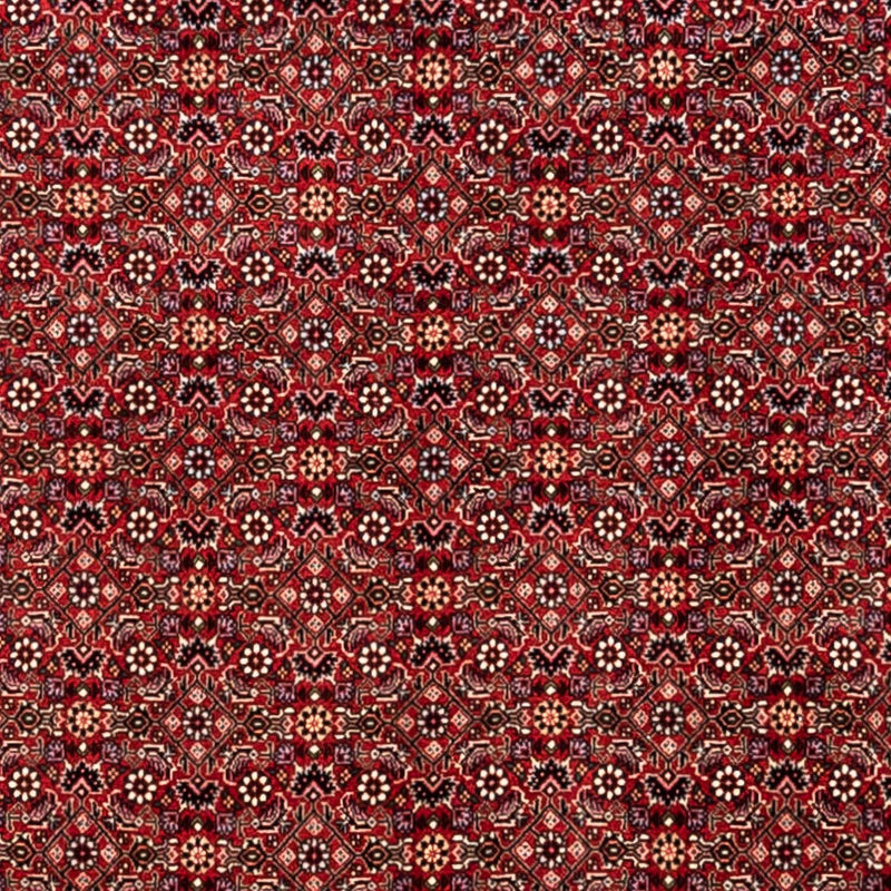 Perski dywan - Bijar - Royal - 340 x 248 cm - czerwony
