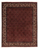 Bidjar Dywan 249x202cm - Dywan perski