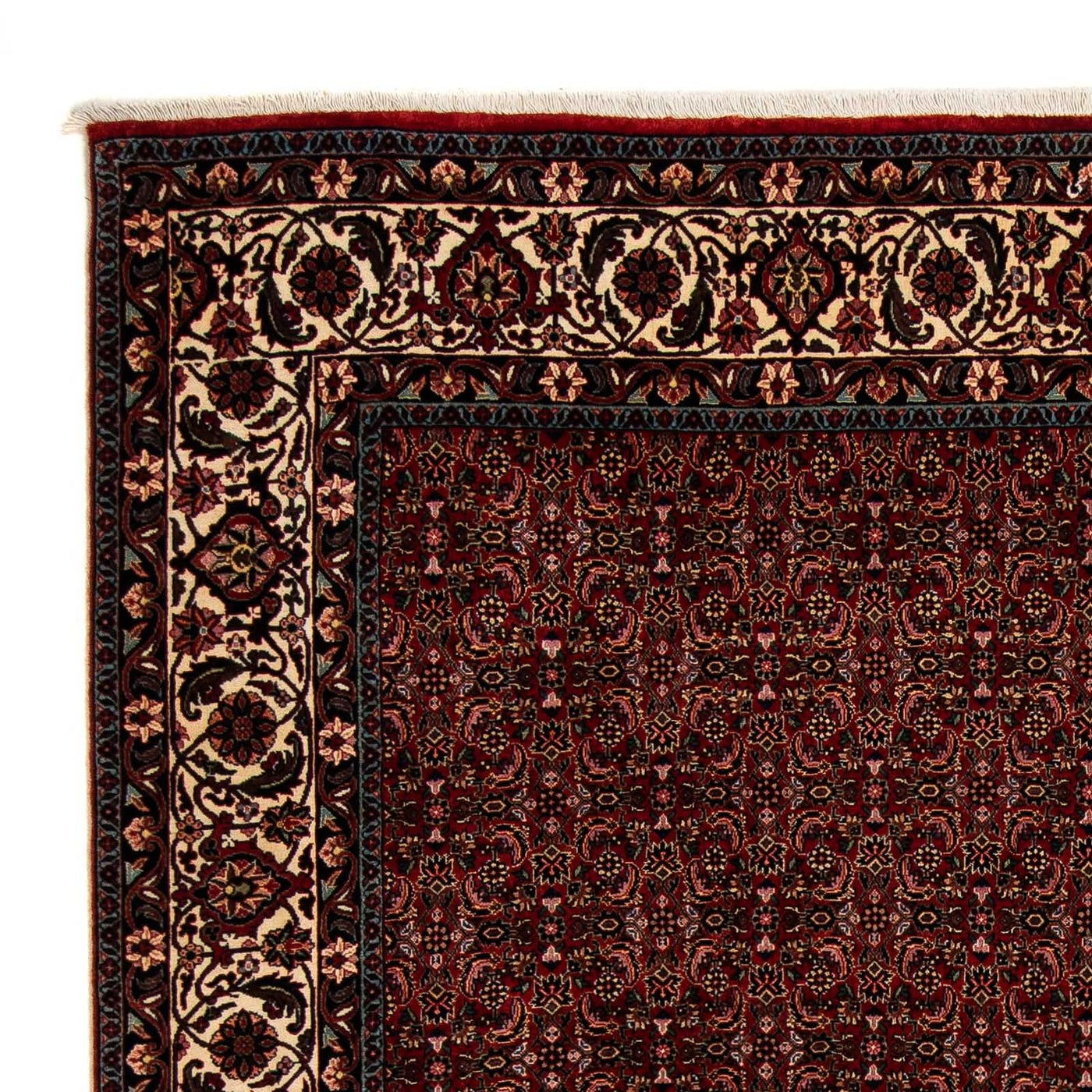 Bidjar Dywan 249x202cm - Dywan perski