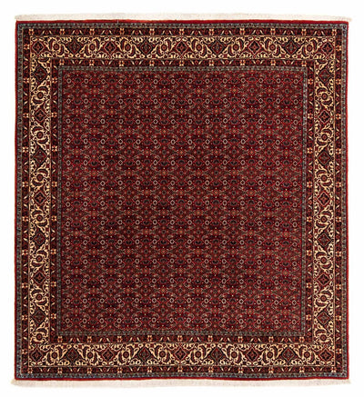 Bidjar Dywan 200x207cm - Dywan perski