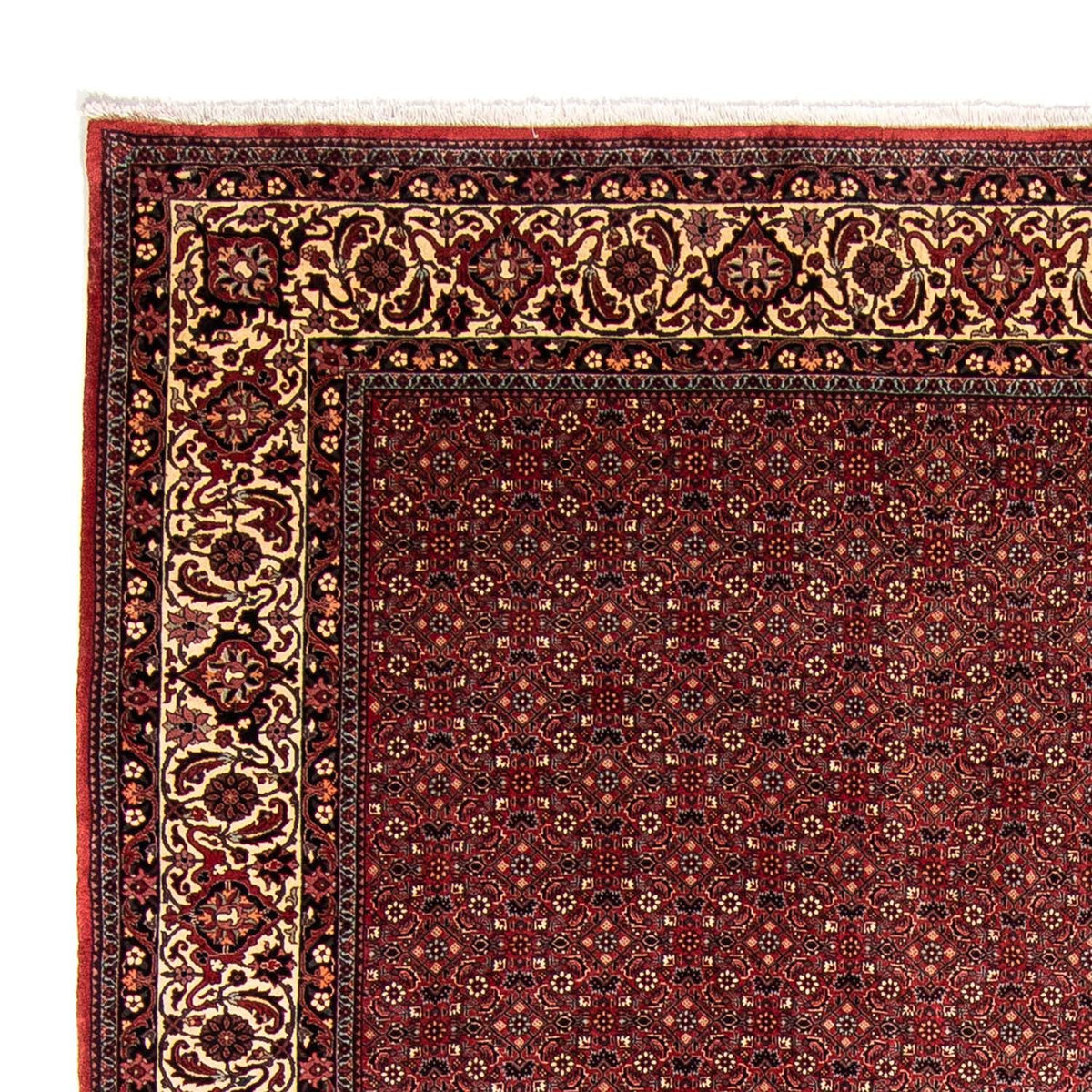 Bidjar Dywan 258x338cm - Dywan perski