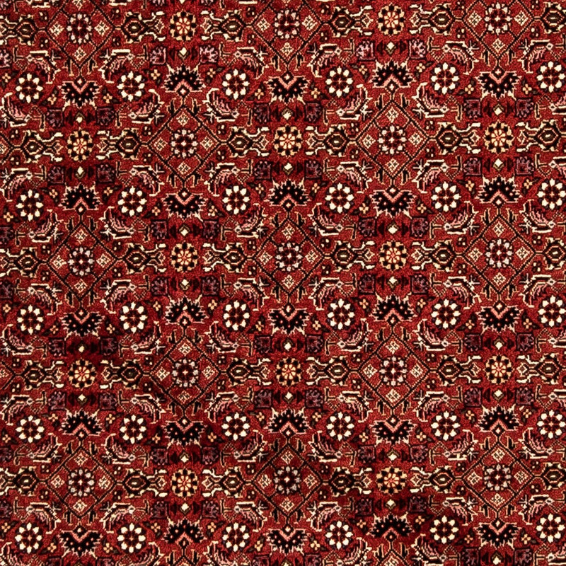 Biegacz Dywan perski - Bijar - 288 x 85 cm - wielokolorowy