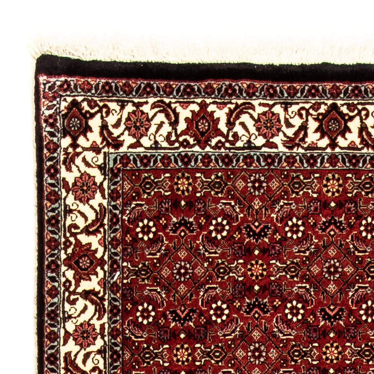 Biegacz Dywan perski - Bijar - 288 x 85 cm - wielokolorowy